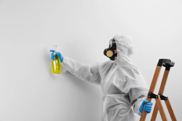 Best Industrial Mold Remediation in USA